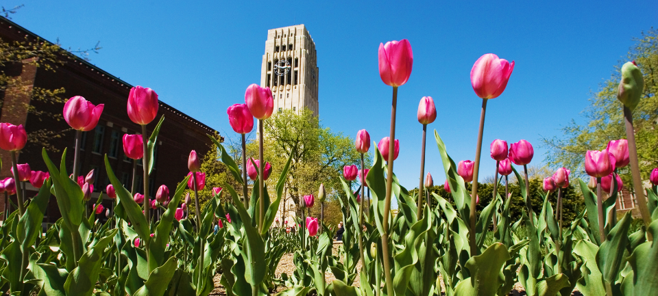 Burton Memorial Tower and tulips
