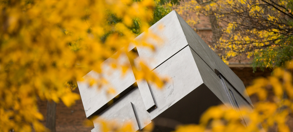 Cube sculpture behind yellow leaves