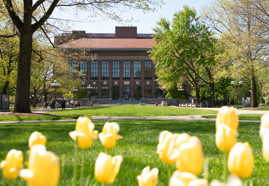 View of Hatcher Graduate Library from the Diag in the summer