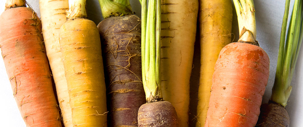 Close-up of rainbow carrots