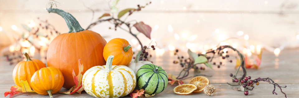 Fall pumpkins and gourds.