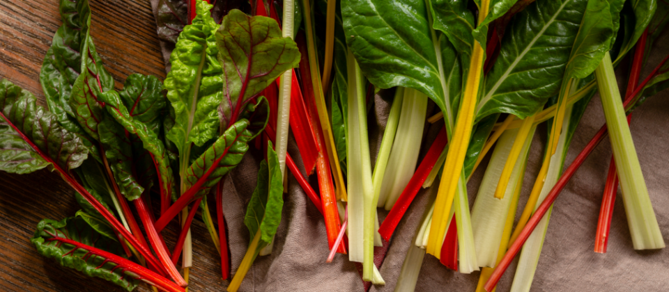 Rainbow Swiss chard