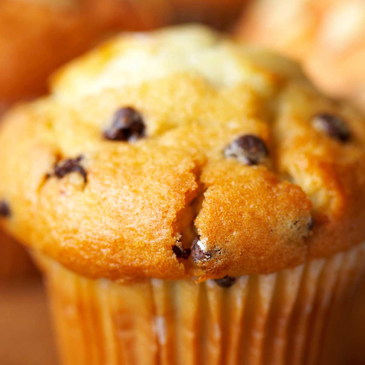 A close up of a muffin, with others in the background.